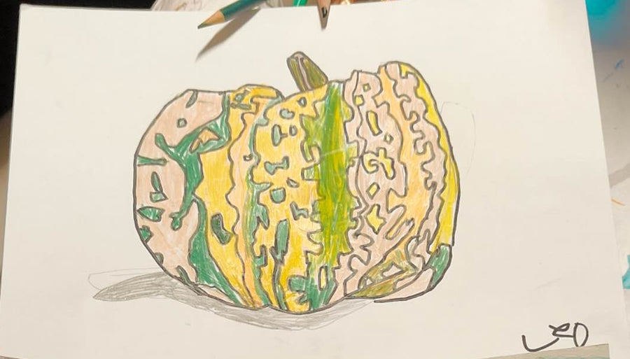 Squash Study