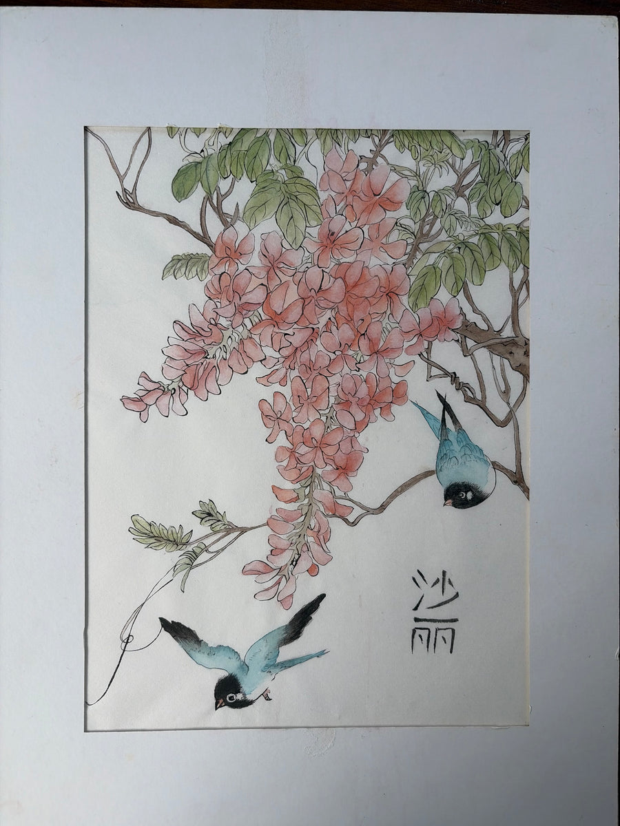 Birds and Wisteria