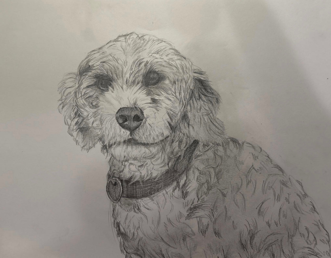 Dog Portrait