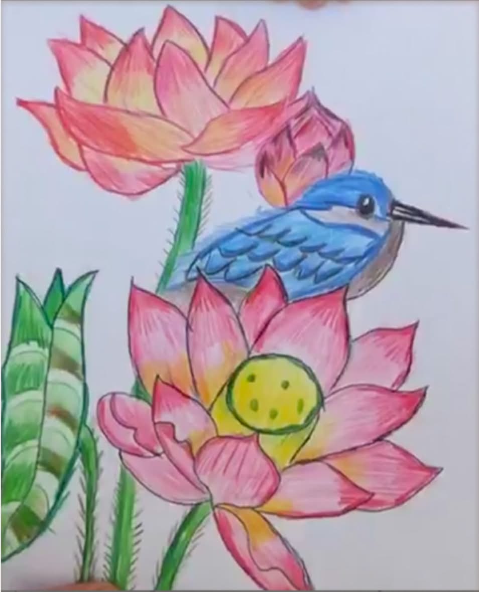 Lotus and Kingfisher