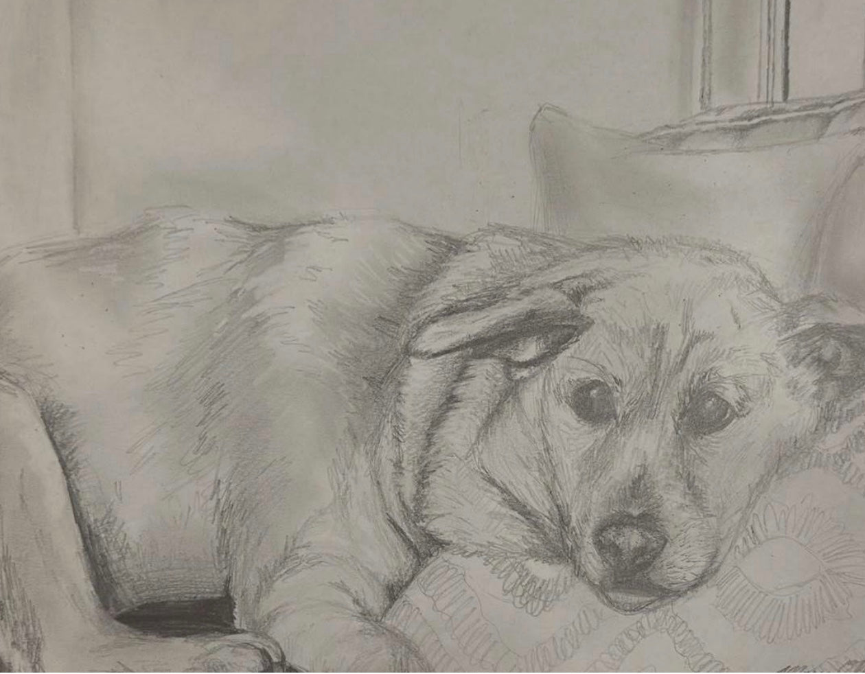 Resting Dog