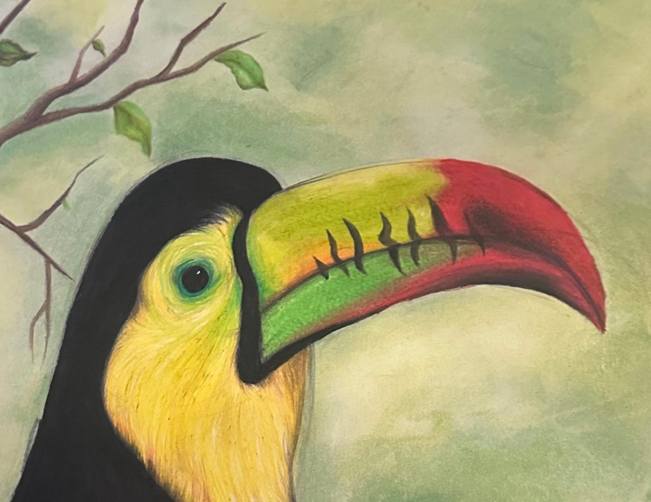 Toucan